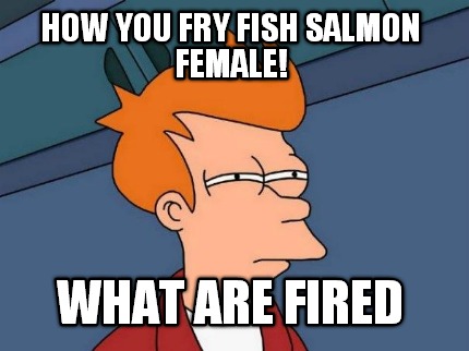 how-you-fry-fish-salmon-female-what-are-fired