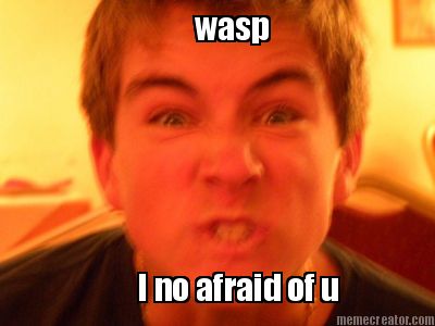 wasp-i-no-afraid-of-u