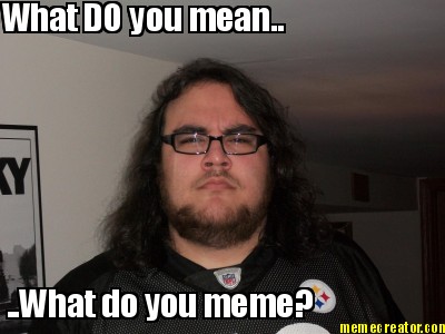 what-do-you-mean..-..what-do-you-meme