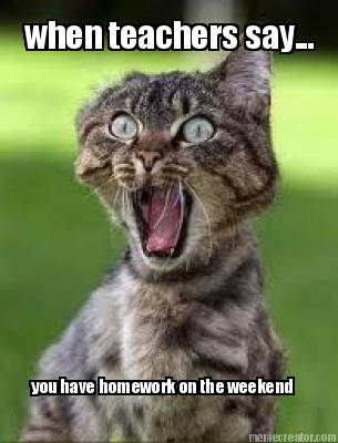 when-teachers-say...-you-have-homework-on-the-weekend5
