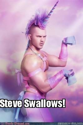 steve-swallows8