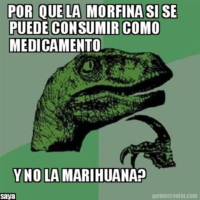 por-que-la-morfina-si-se-puede-consumir-como-medicamento-y-no-la-marihuana-saya