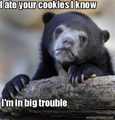 i-ate-your-cookies-i-know-im-in-big-trouble7