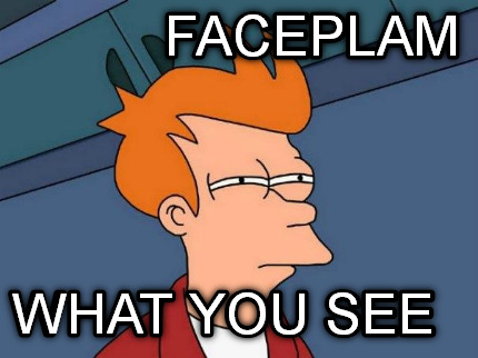 faceplam-what-you-see