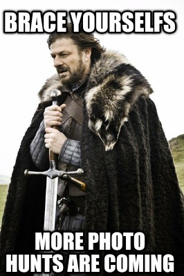 brace-yourselfs-more-photo-hunts-are-coming