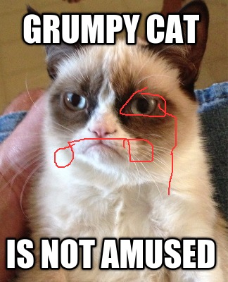 grumpy-cat-is-not-amused