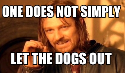 one-does-not-simply-let-the-dogs-out