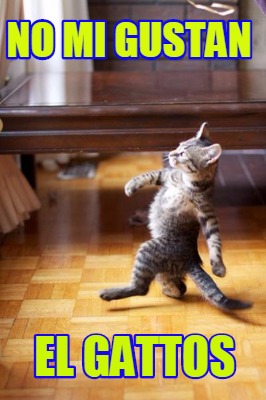 no-mi-gustan-el-gattos
