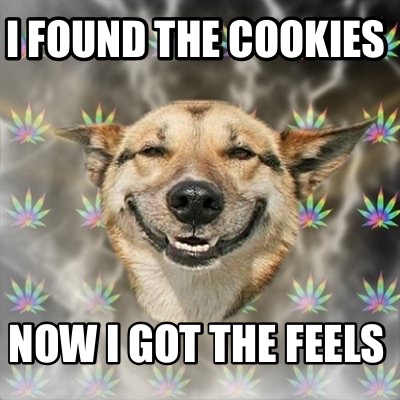 i-found-the-cookies-now-i-got-the-feels