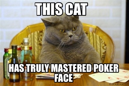 this-cat-has-truly-mastered-poker-face