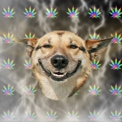 6520