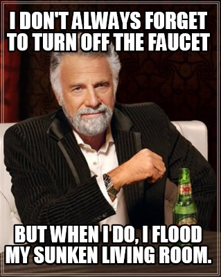 i-dont-always-forget-to-turn-off-the-faucet-but-when-i-do-i-flood-my-sunken-livi