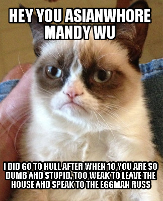 hey-you-asianwhore-mandy-wu-i-did-go-to-hull-after-when-10-you-are-so-dumb-and-s