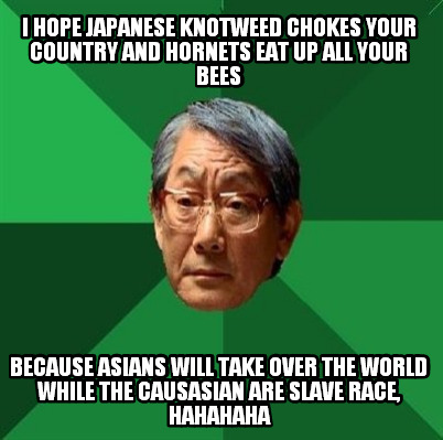 i-hope-japanese-knotweed-chokes-your-country-and-hornets-eat-up-all-your-bees-be