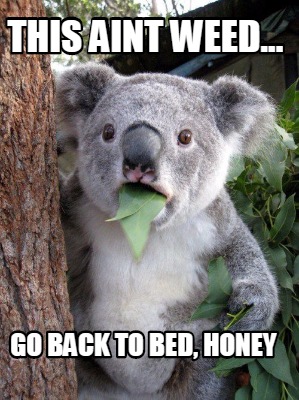 this-aint-weed...-go-back-to-bed-honey