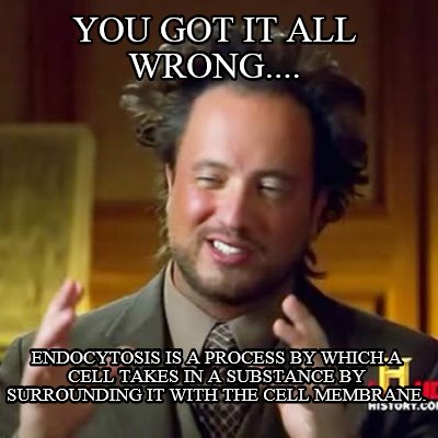 you-got-it-all-wrong....-endocytosis-is-a-process-by-which-a-cell-takes-in-a-sub