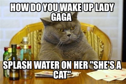 how-do-you-wake-up-lady-gaga-splash-water-on-her-shes-a-cat