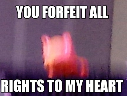 you-forfeit-all-rights-to-my-heart