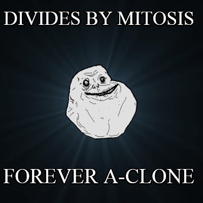 divides-by-mitosis-forever-a-clone