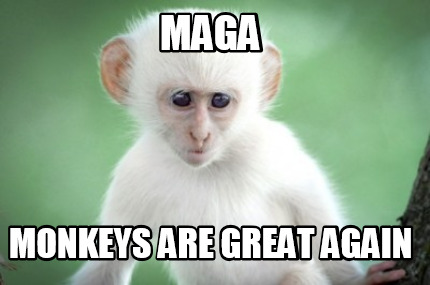 maga-monkeys-are-great-again