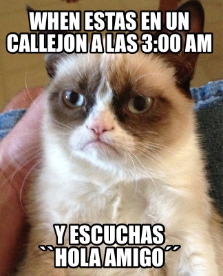 when-estas-en-un-callejon-a-las-300-am-y-escuchas-hola-amigo