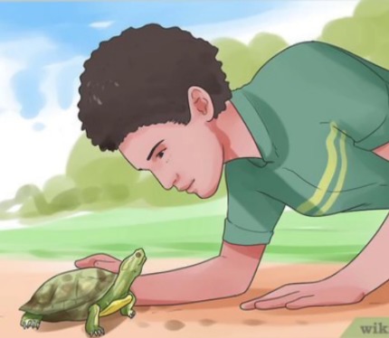 669